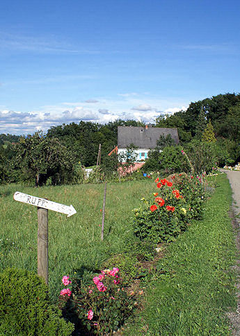 Ewitsch 46 Wegweiser